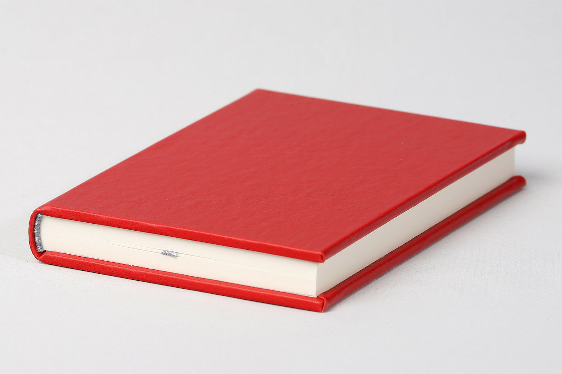 notebuch Apfelleder Red